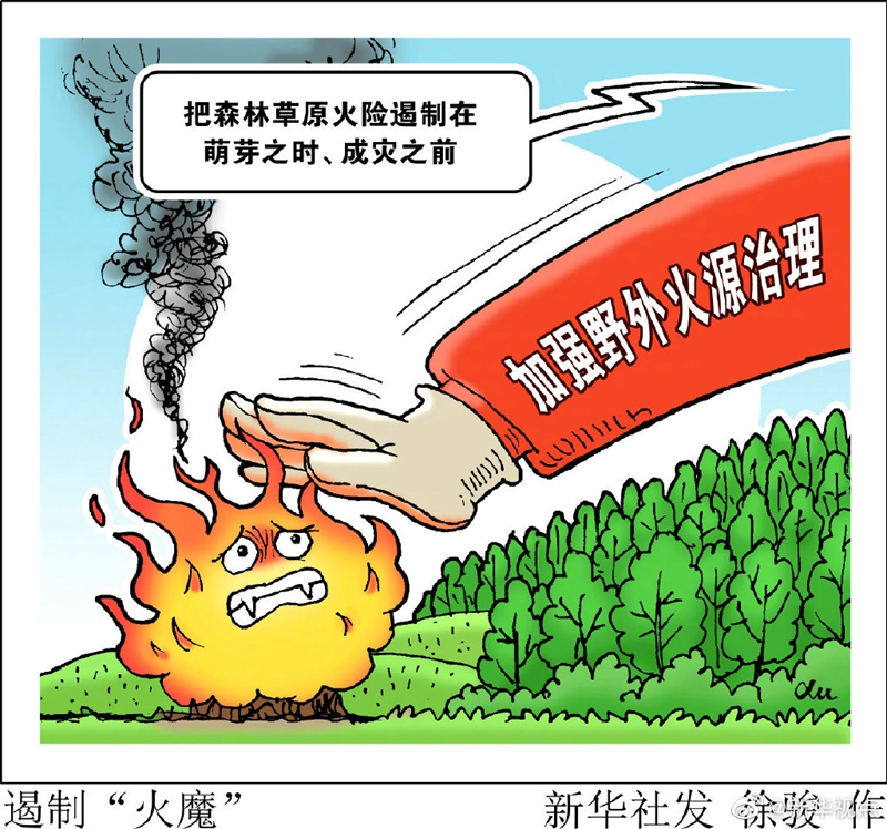 谨防火灾！清明假期多地森林火险气象等级高