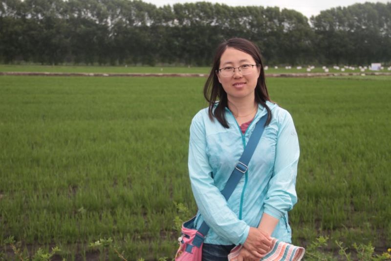 国家耐盐碱水稻技术创新中心东北分中心落户黑龙江
