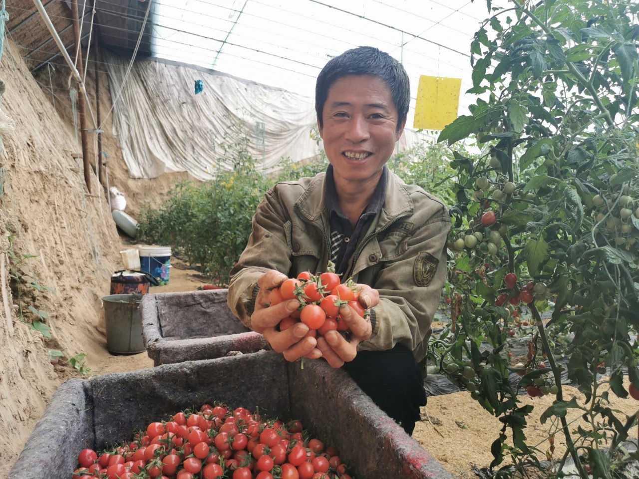 乡村振兴怎么干？“三化融合”的玉皇庙探索