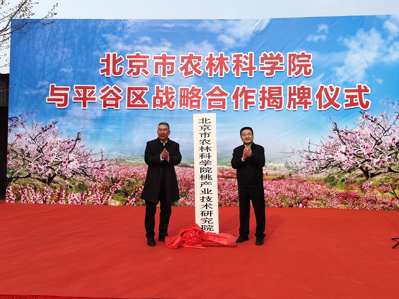 北京市农林科学院桃产业技术研究院成立