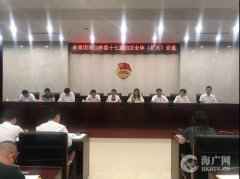 共青团海口市委十七届四次全体(扩大)会议召开