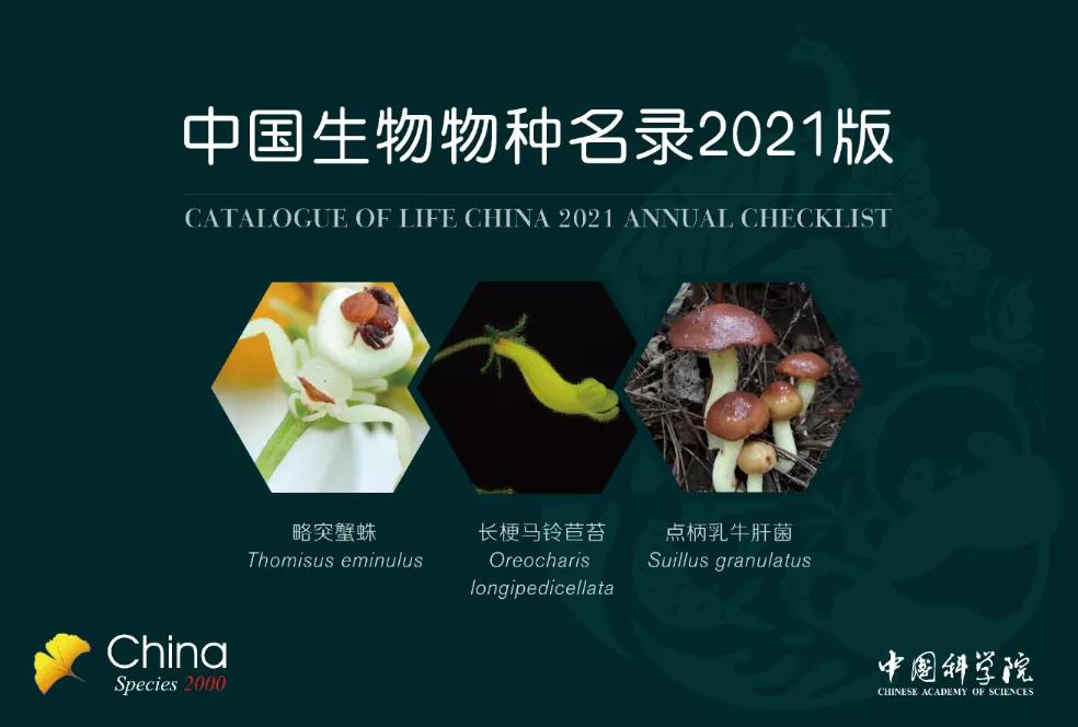 收录127950个！2021版《中国生物物种名录》发布