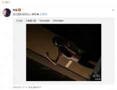 杨幂大秀马甲线和肱二头肌,get女明星同款身材其实并不难!