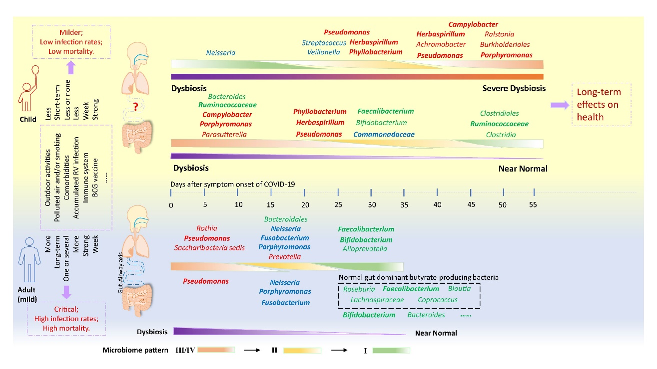 儿童染新冠可致上呼吸道和肠道菌群持续扰动和失衡