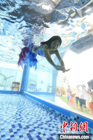 与海底生物伴游的新职业：“美人鱼”在中国悄然兴起