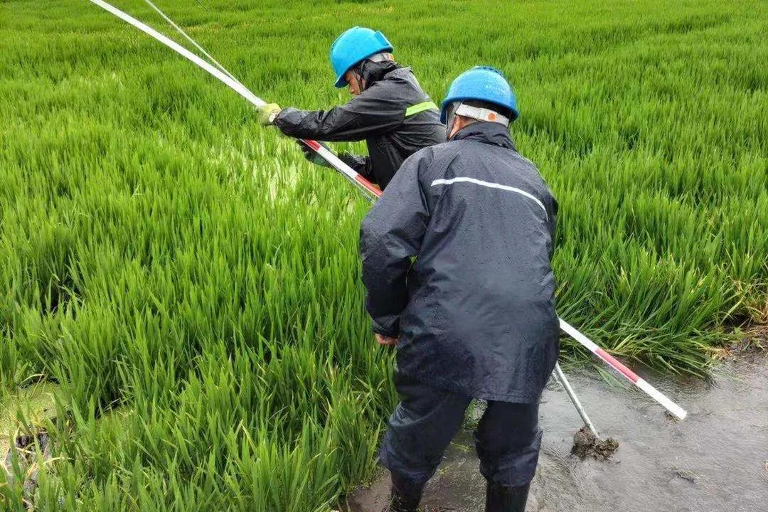  ​浙江嘉兴筑牢防台防汛用电安全屏障
