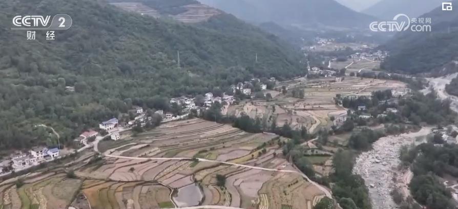 全国夏收油菜收获近六成 夏油作物增产趋势明显