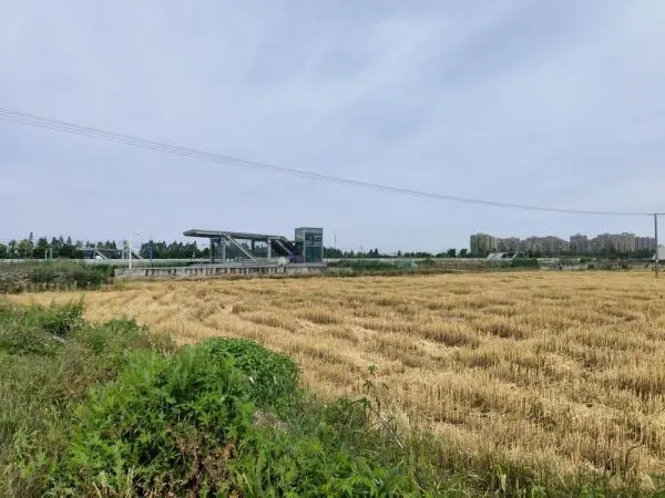 建在农田里的宁波地铁3号线高塘桥站C出口（新华社记者李平 5月16日摄）.webp