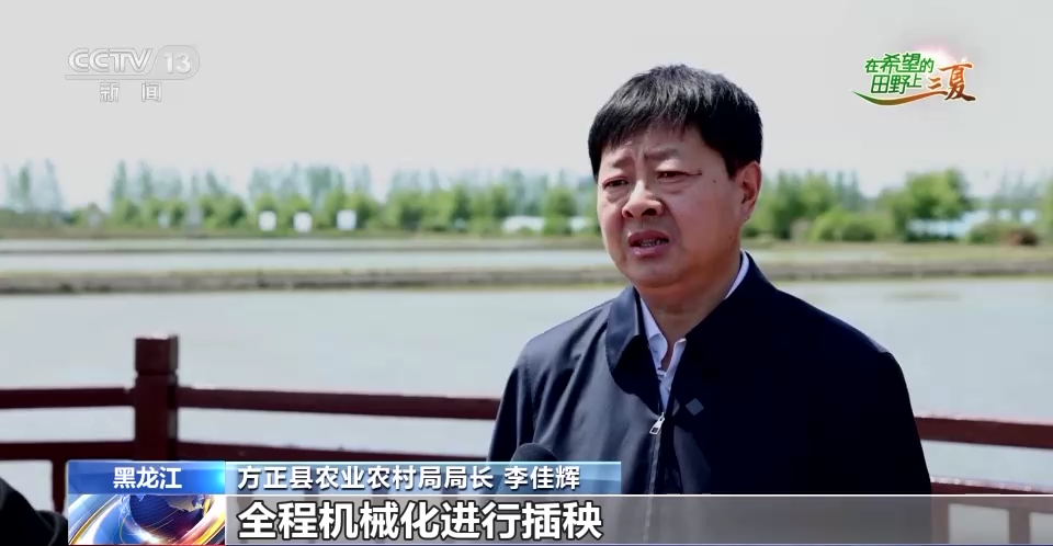无人驾驶插秧机、精选杂交品种……各地抢抓农时有妙招