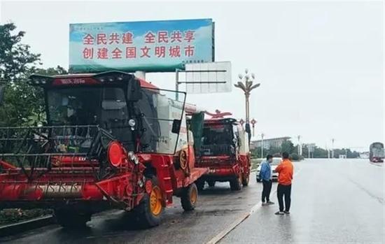 收割机无法下高速？成熟麦子因降雨发芽？当地回应