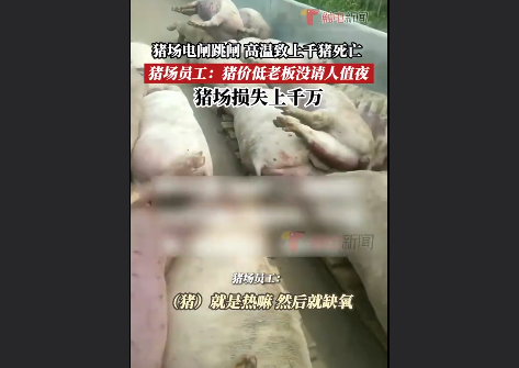 QQ截图20230530160136
