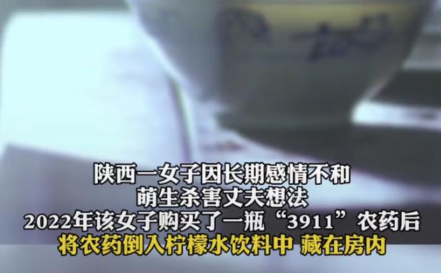 360截图20230605081615540