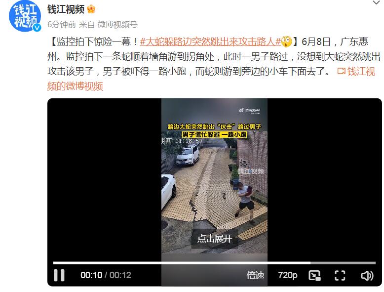 男子被墙角的蛇跳出攻击：被吓得一路小跑