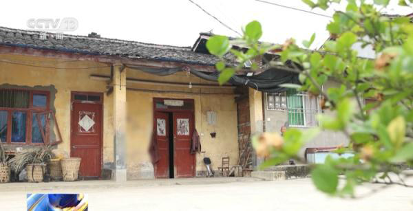 犯罪分子只用现金打造隐秘赌场 还设置专门人员放哨望风