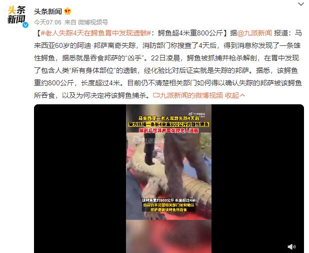 老人失踪4天在鳄鱼胃中发现遗骸 该鳄鱼长超4米重约800公斤