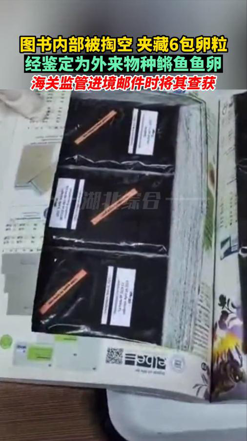 图书被掏空内藏鳉鱼鱼卵 属全国首次查获的外来物种
