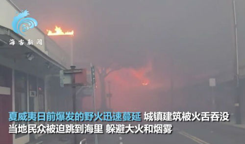 夏威夷多地野火蔓延 民众跳海避难 目击者：如同末日