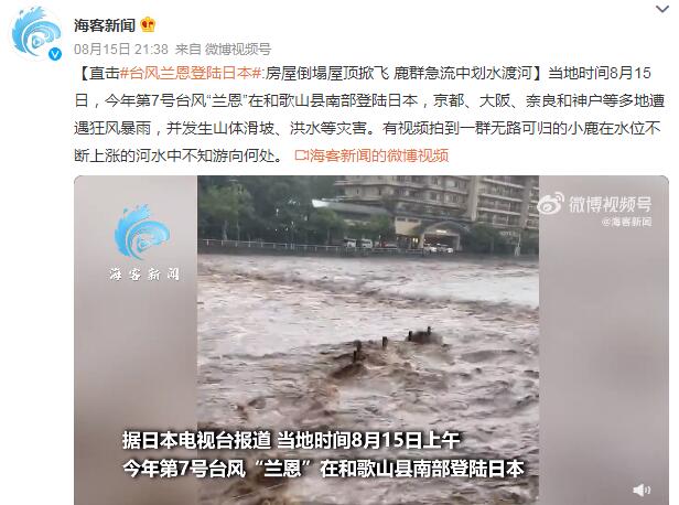 台风兰恩登陆日本 房屋倒塌屋顶掀飞 多地遭遇狂风暴雨