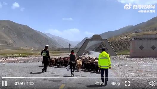 360截图20230823192311488