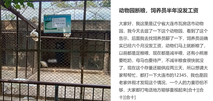 辽宁一动物园拖欠饲养员工资半年，动物将断粮？ 官方：情况属实