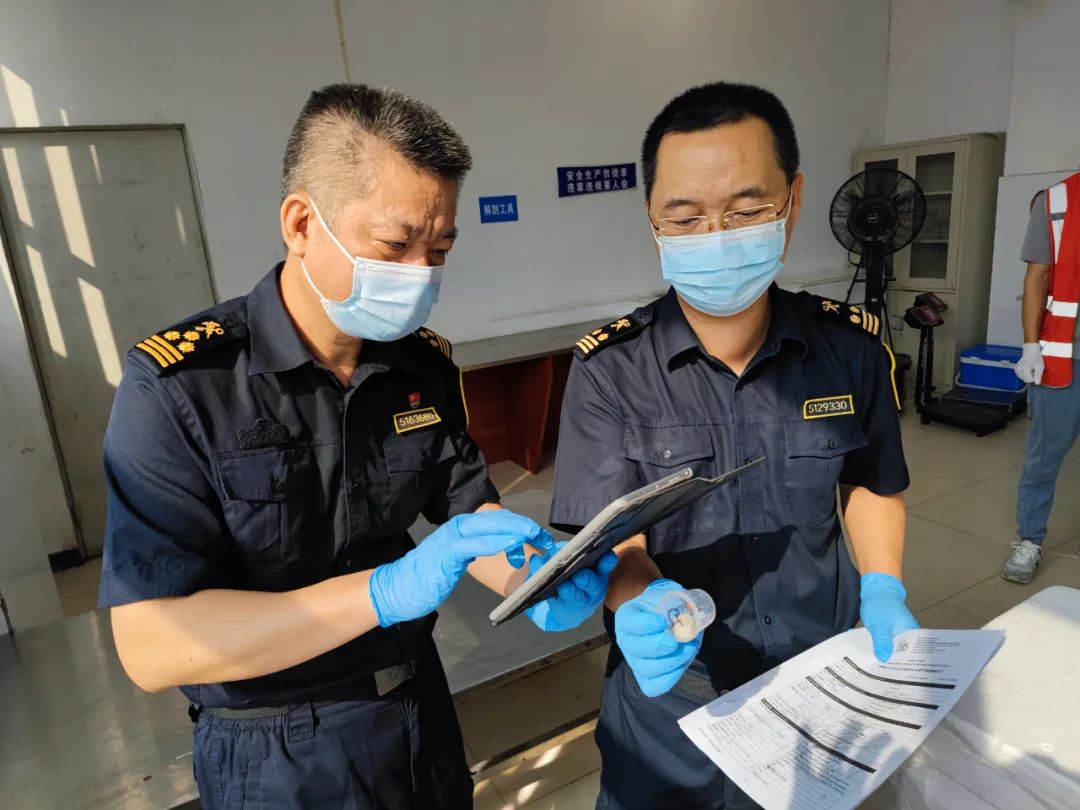 货车运5380只吸血鬼蟹入境被查：俗称“恶魔蟹” 名字炸裂