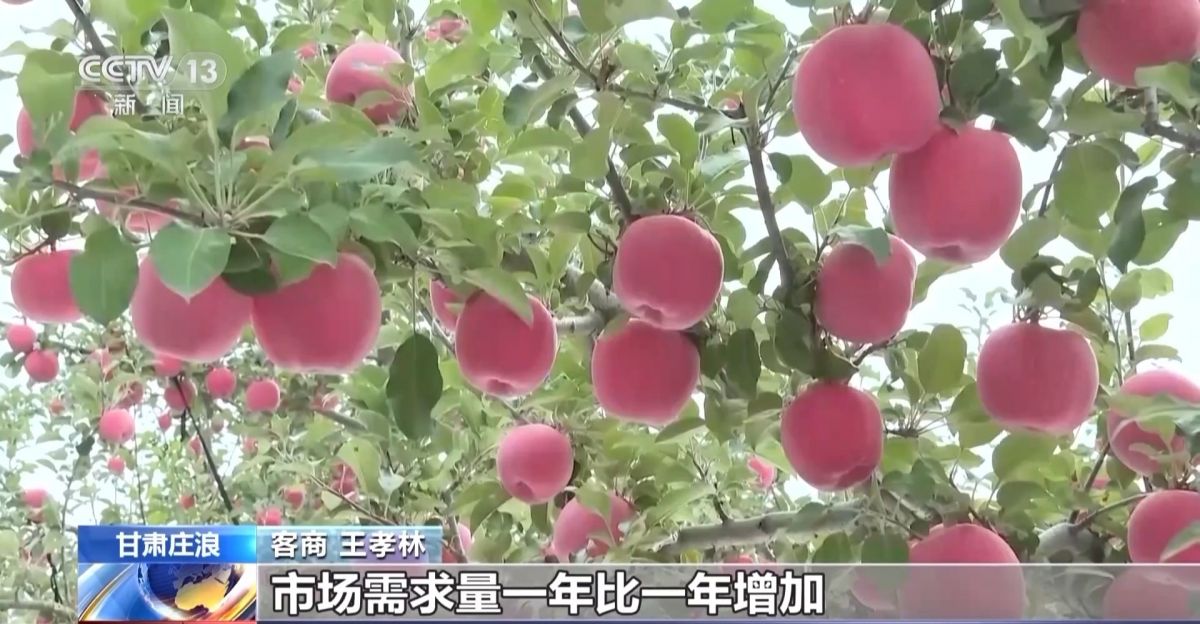 全国秋粮收获已过七成！来看各地丰收景象