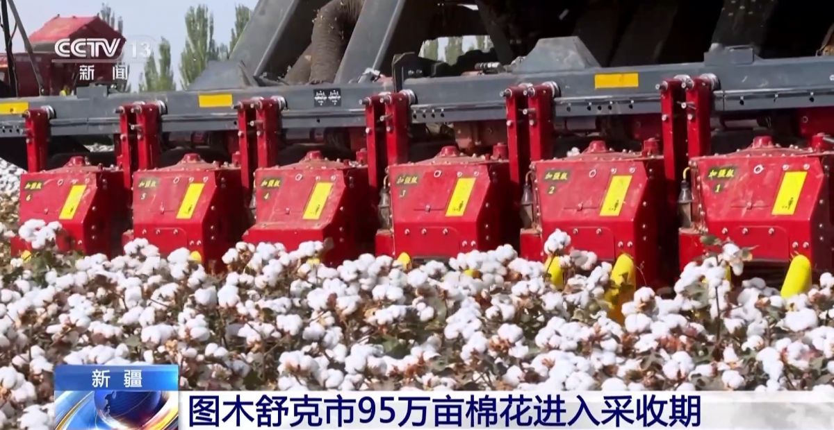 全国秋粮收获已过七成！来看各地丰收景象