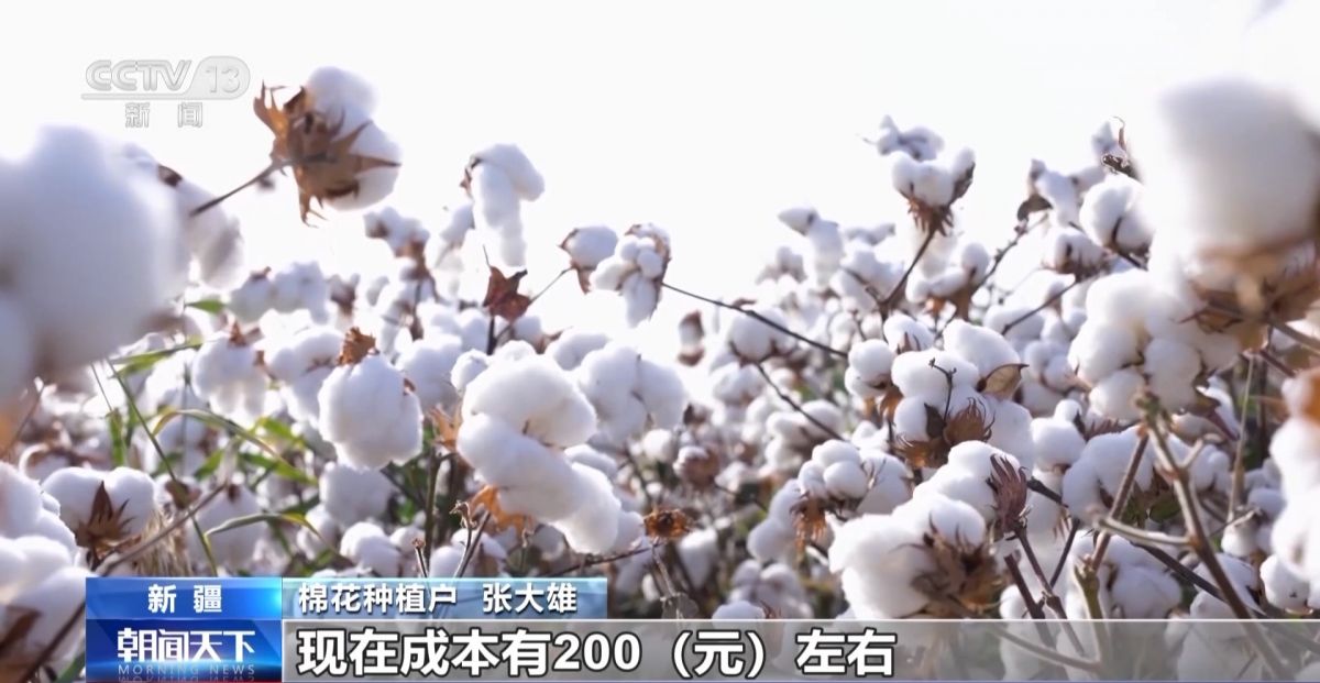 全国秋粮收获已过七成！来看各地丰收景象