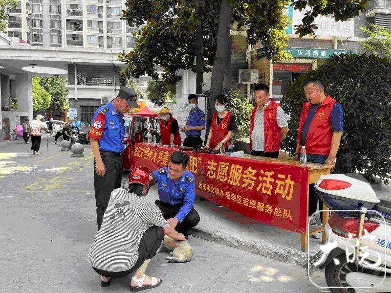 合肥宠物狗出门最新规定：不拴绳将一律捕捉