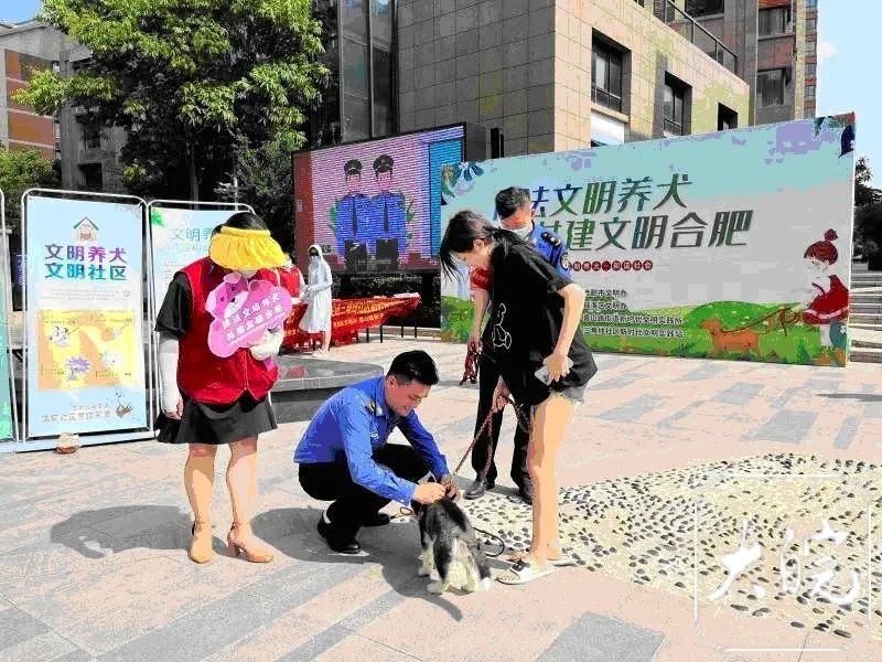 合肥宠物狗出门最新规定：不拴绳将一律捕捉