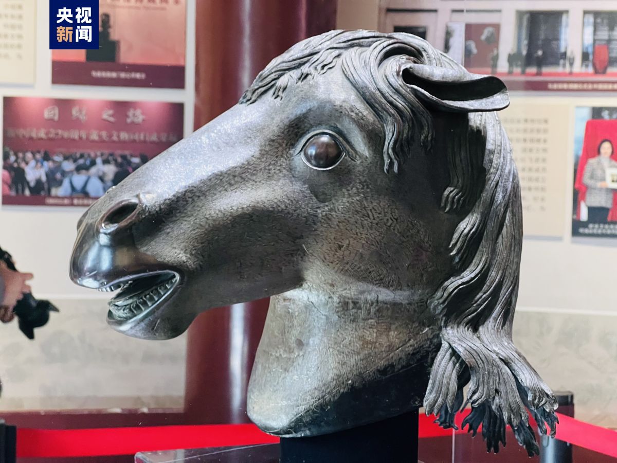 圆明园正觉寺兽首每天展出时间几点 十二生肖兽首铜像介绍