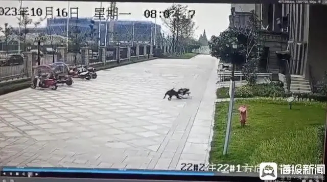 事发时的监控画面