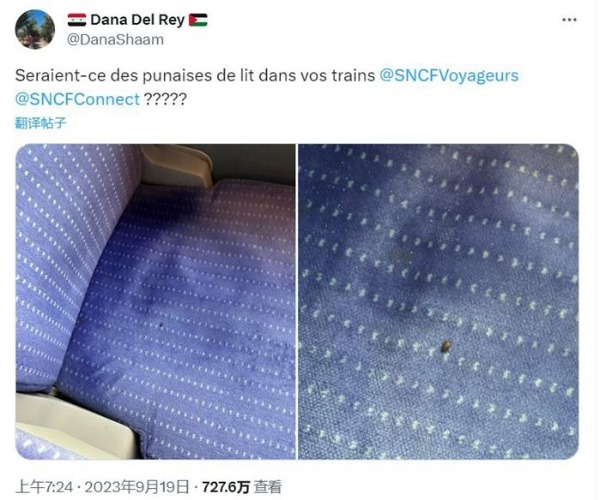 床虱危机为何席卷全球 被称为“吸血怪”