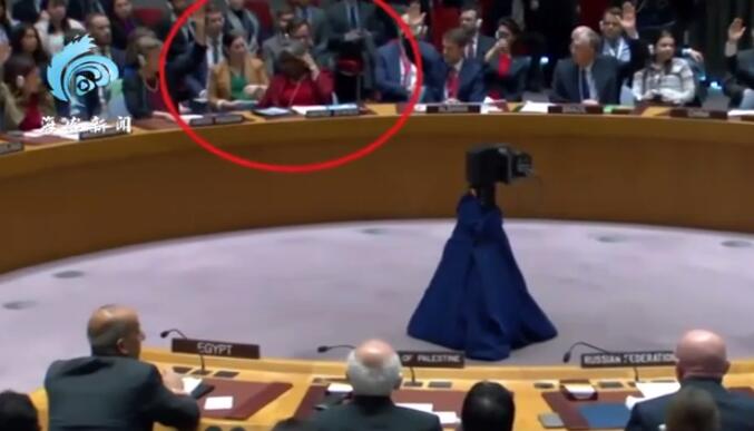 美国常驻联合国代表的手怎么了？高举的手被同事按下